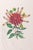 Salvador Dali (Spanish, 1904-1989), "Dahlia Rapax" [Rapacious Dahlia], Etching and Heliogravure in Colors on Arches Paper,...