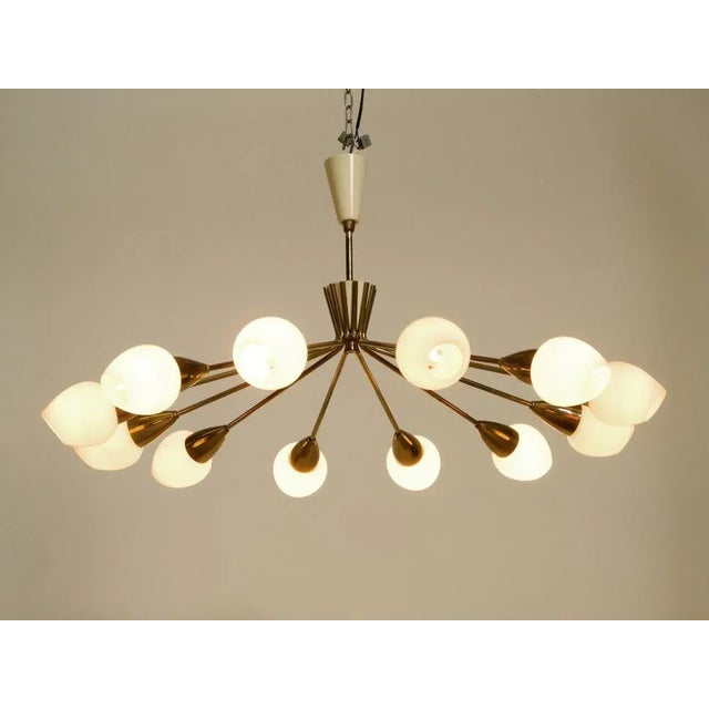 1950s Mid-Century Brass 12-Armed Chandelier with Opal Glass Shades, 1950s For Sale - Image 5 of 18