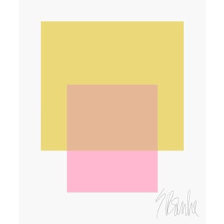 The Interaction of Celery Green and Light Pink Fine Art Print 30" X 40" by Liz Roache For Sale