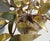 d'Haeseleer Daniel, Brutalist Tree on Rock, 1970s, Brass, Metal and Stone For Sale - Image 12 of 13