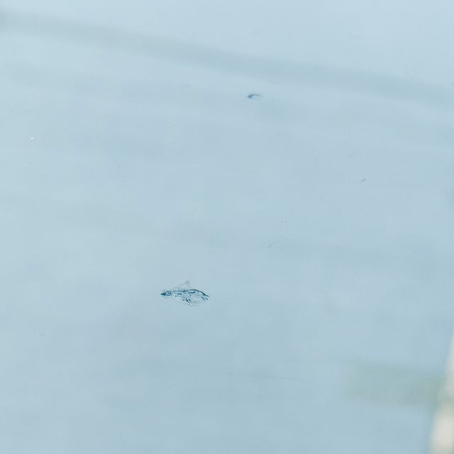 Gold 1970s Brass & Glass Hollywood Regency Side / End Tables in the Style of Leon Rosen for Pace Collection - a Pair For Sale - Image 8 of 12