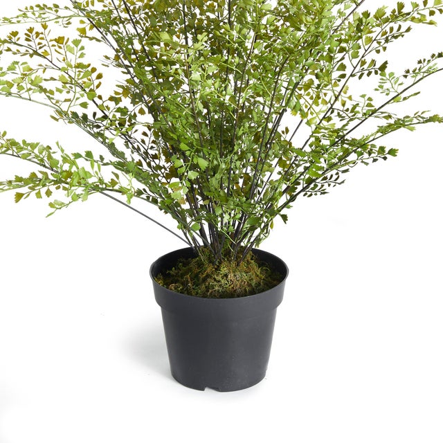 100% realistic a perfect copy of your favorite greens. These dropins are nohassle works of art. Right down to the...