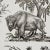 2020s SAMPLE - Schumacher Western Toile Wallpaper In Carbon For Sale - Image 5 of 7