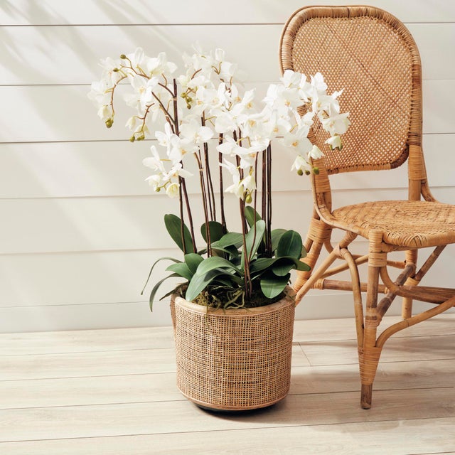 Traditional Phalaenopsis Orchid Drop-In 36" For Sale - Image 3 of 7