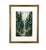 1972 Forestscape Watercolor Signed "Berg" For Sale