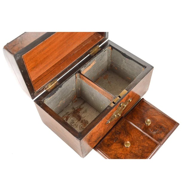 19th Century English Walnut Domed Top Tea Caddy For Sale - Image 9 of 9