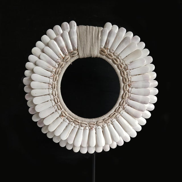 A male necklace from the Asmat Village, Papua New Guinea. Two rows of large polished shells in concentric rows, seamlessly...