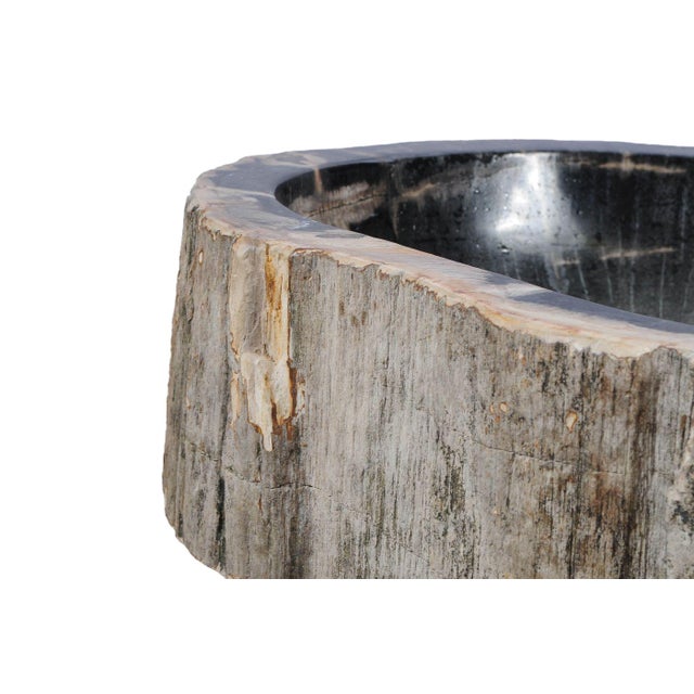 Contemporary Petrified Wood Hand Wash Basin by Xyleia Petrified Wood For Sale - Image 3 of 8