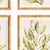 The simplicity of form and composition is executed beautifully in these coastalinspired prints. In a subtle contrast of...