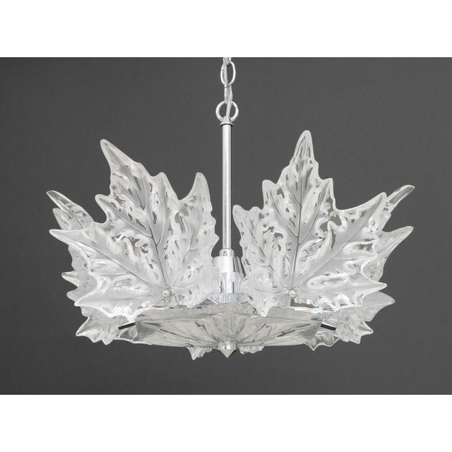 Transparent Lalique Crystal "Champs-Elysees" Two-Tier Chandelier For Sale - Image 8 of 13