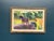 Harald Fredriksson, Häst II, 1950s, Oil Painting on Canvas, Framed For Sale - Image 18 of 18