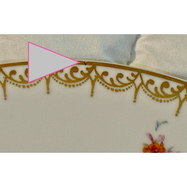 Dresden Hand Painted Dinner Plates - Set of 10 For Sale - Image 12 of 12