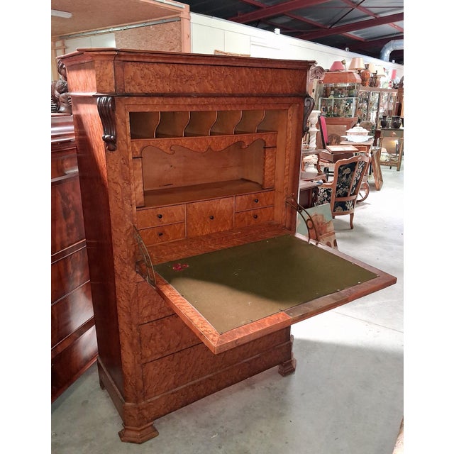 Brown Charles X Drop-Front Secretary in Elm Burl, 19th Century For Sale - Image 8 of 9