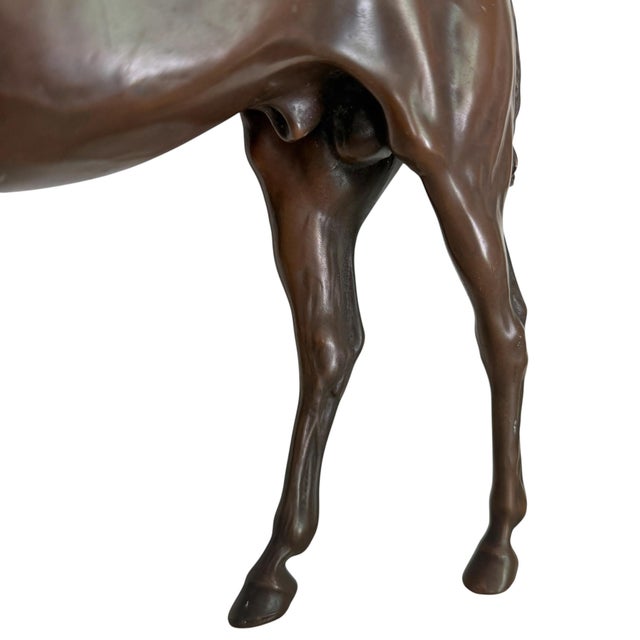 Bronze Thoroughbred Horse Sculpture For Sale - Image 11 of 18