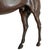 Bronze Thoroughbred Horse Sculpture For Sale - Image 11 of 18