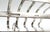 Vintage English Silver-Plated Toast Rack – Traditional / English Country For Sale - Image 9 of 11