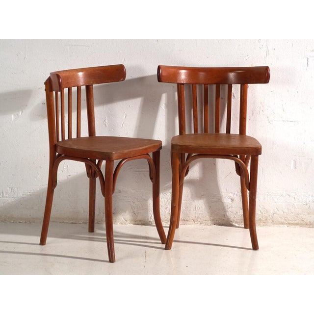 Bentwood Chairs in the style of Thonet, Central Europe, 1930, Set of 4 For Sale - Image 6 of 15