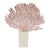 Andrianna Shamaris Coral Fan For Sale