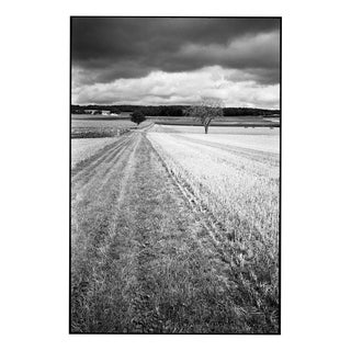 Paul Cooklin, Crop Field, Couziers, Edition of 50 For Sale