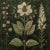 Grisaille Dark Green Flowers - Botanical Fine Art Print Dimensions: Print size (in): 18 x 18 (additional white borders for...