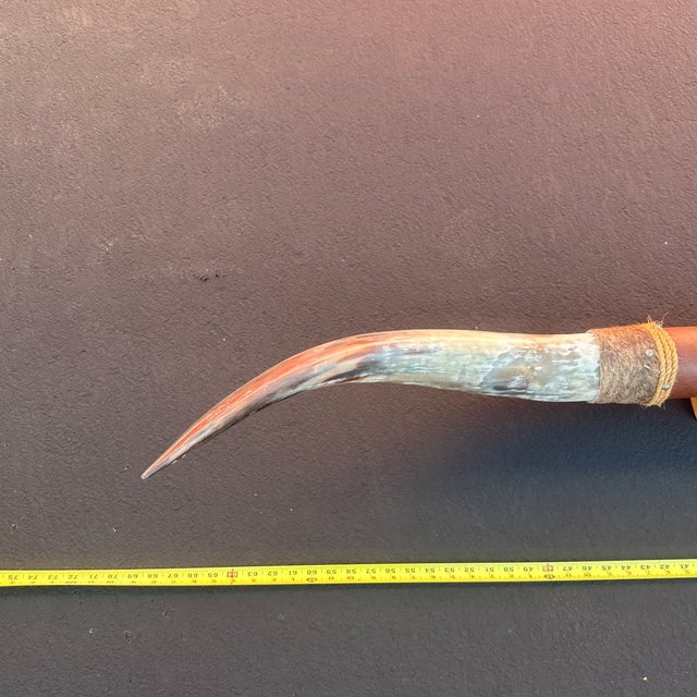 1980s Mounted Cow Horns For Sale - Image 4 of 11