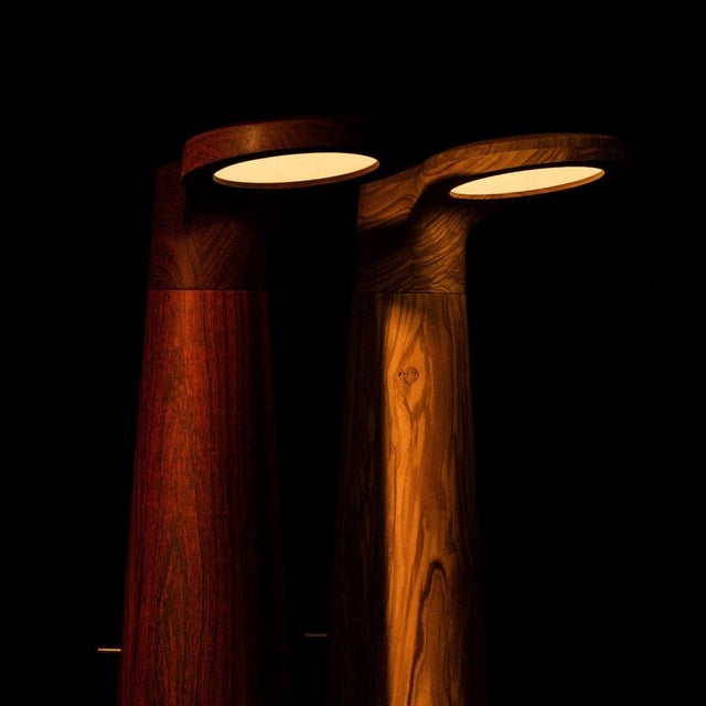 Studio Light Wengè Wood by Isato Pugger For Sale - Image 9 of 15