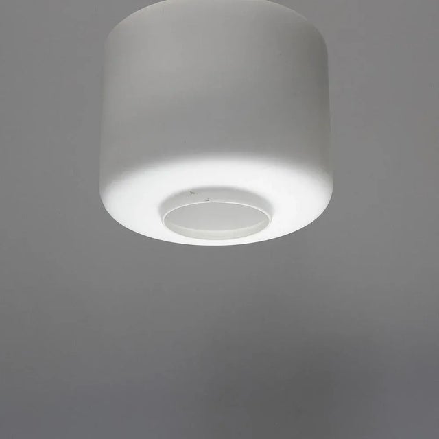 Glass and Metal Chandelier, 1950s For Sale - Image 9 of 13