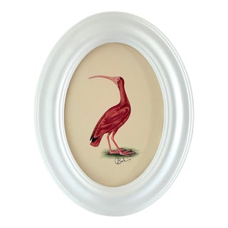 Original Hand-Painted Ibis Painting, Framed For Sale