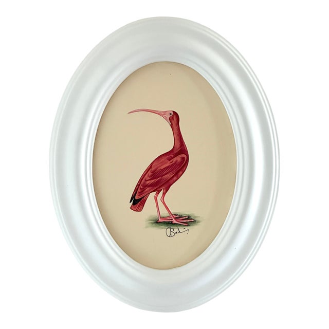 Original Hand-Painted Ibis Painting, Framed For Sale