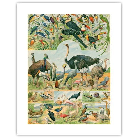 Featured is a beautiful museum-quality print of an original bookplate from the late-1800s that has been digitally altered....