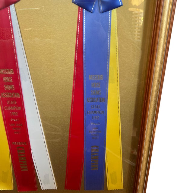 Wood Framed Missouri Horse Show Champion Rosettes, Equestrian Wall Art, 1992 For Sale - Image 7 of 17