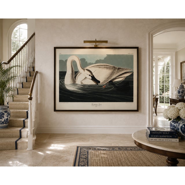 Trumpeter Swan, 1827 – John James Audubon Vintage Bird Art Print, 20" X 30" For Sale In Buffalo - Image 6 of 7