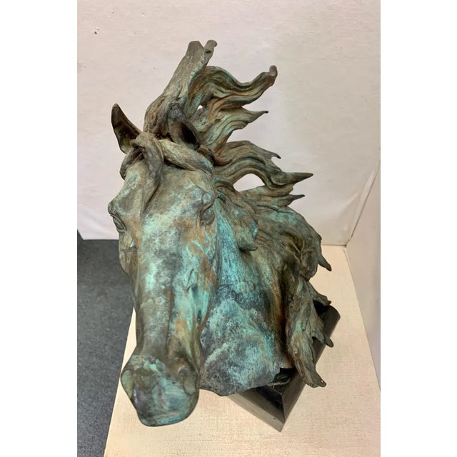 Metal Original Bronze Mustang Bust Sculpture With Verdigris Finish For Sale - Image 7 of 12