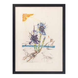 Salvador Dali "Iris (Eyes)" Etching, 1972 For Sale