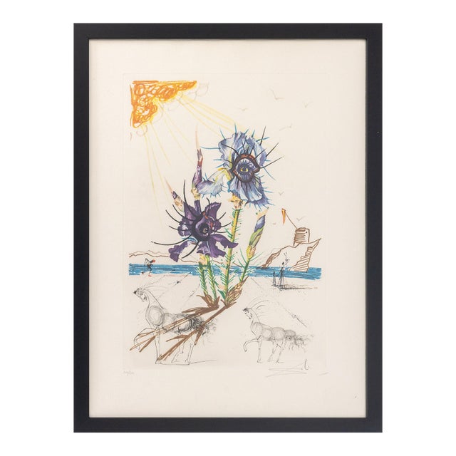 Salvador Dali "Iris (Eyes)" Etching, 1972 For Sale