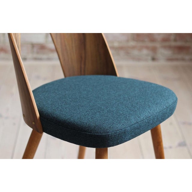 Mid-Century Dining Chairs by A. Suman, Set of 10 For Sale - Image 14 of 17