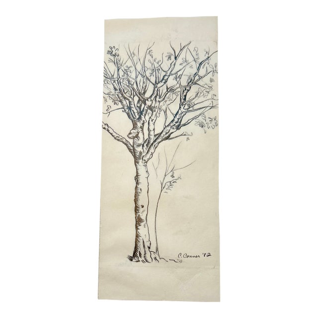 Original Pencil Sketch of a Tree For Sale