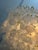 Shell Capiz Chandelier with Gold Frame, 2019 For Sale - Image 7 of 10