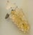 Beautifully carved and polished natural quartz stone grape vine clusters.
