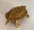 Circa 1970 Turtle Brass Sculpture, French For Sale - Image 12 of 13