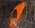 1960s Oil on Canvas Abstract Painting by Reiko Sakagami Baum For Sale - Image 4 of 7
