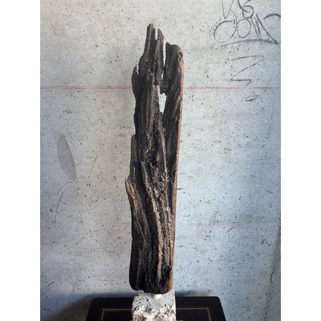 Wood Monumental Organic Coastal Vintage Driftwood Sculpture on Coral Stone Base For Sale - Image 7 of 9