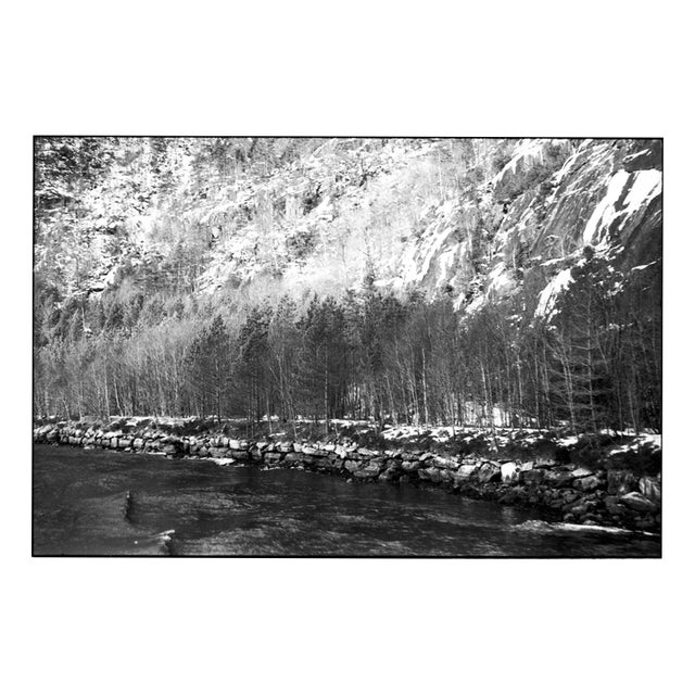 Paul Cooklin, Birches, Mostraumen Fjord, Bergen, Norway, Edition of 50 For Sale
