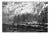 Paul Cooklin, Birches, Mostraumen Fjord, Bergen, Norway, Edition of 50 For Sale