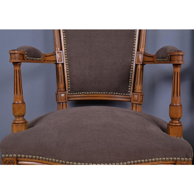 Brown Vintage Louis XVI Style Armchairs in Stained Beech, 1950, Set of 2 For Sale - Image 8 of 18