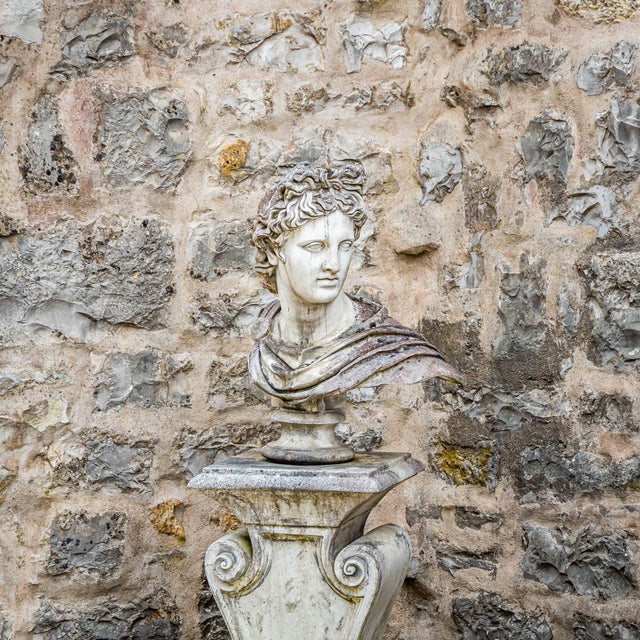 Unknown, Bust of the Apollo Belvedere, 2000s, Stone For Sale - Image 4 of 8