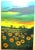 David Najar Signed Seriolithograph Sunflowers at Dusk Unframed The black dots are magnets used to hold the print to...