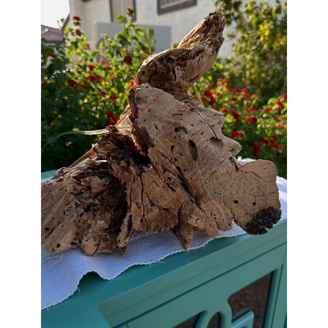 Mid Century Rustic Saguaro Cactus Table Lamp & Hand Crafted Shade For Sale - Image 11 of 11