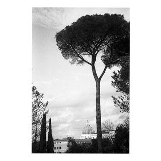 Paul Cooklin, Rome Italy 00207, Edition of 50 For Sale