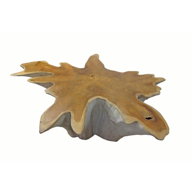 Organic Modern Two-Tone Teak Root Coffee Table For Sale - Image 4 of 7